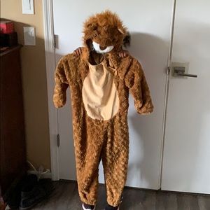 Hide and Eek! Toddler Lion 4-5T. Like New!